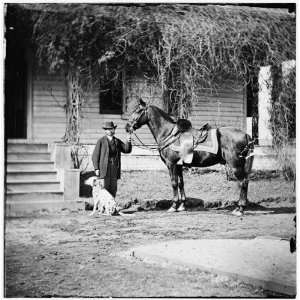 com Civil War Reprint City Point, Virginia. Gen. Rufus Ingalls horse 