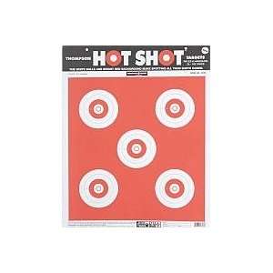 Thompson Targets Hot Shot Large 15x19 12 Pack  Pet 