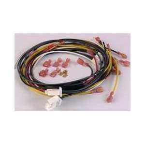  Jandy Hi E2 Series Replacement Wire Harness, Ignition 