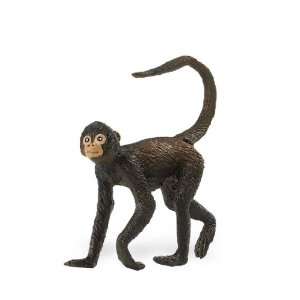  Wild Safari Wildlife Spider Monkey Toys & Games