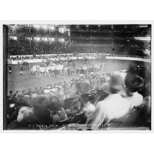  Arena of NY Horse Show,judging draught horses