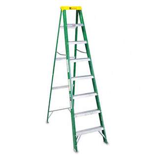Davidson Ladder Inc. Davidson Ladder Inc. DAV 592 06BX 592 Six Foot 