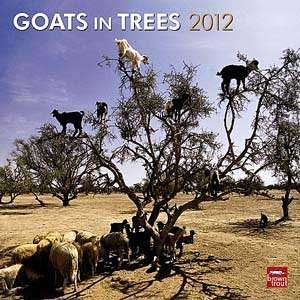  2012 Goats in Trees Calendar