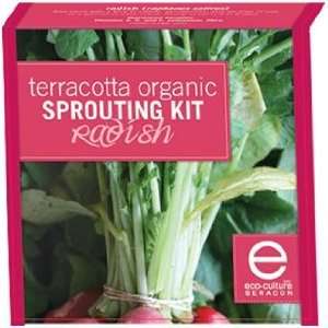  Terra Cotta Organic Sprouting Kit   Radish Patio, Lawn & Garden