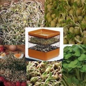   Sprouting Seed Starter Kit **Sprouter & 5 Different Sprouting Seeds