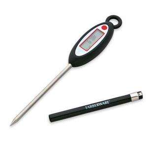 Lifetime Brands FW Pro Digital Thermometer 