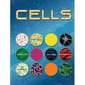  Quality value Cells By Rourke Publishing Toys & Games