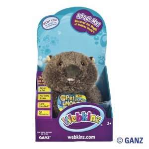  Webkinz Wombat May Pet of the Month in Box Toys & Games