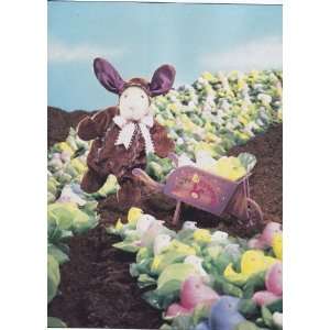  Cocoa Bunny Hoppy Vanderhare Toys & Games
