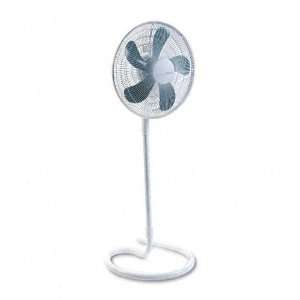   Oscillating Floor Fan, Metal and Plastic, White