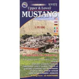  Upper & Lower Mustang   Scale 170 000