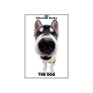  THE DOG Artlist   Siberian Husky   Hand Book   6 Postcards 