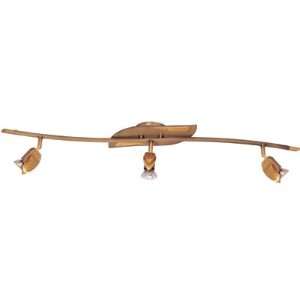  Antique Brass Wall or Ceiling Mount Track Light DGU703 