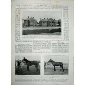  1900 Athletic Sports Stamford Bridge Horse York Bognor 