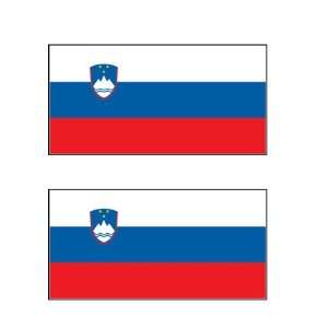  2 Slovenia Slovenian Flag Stickers Decal Bumper Window 