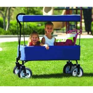 Fold it & Go Wagon (Blue)  Toys & Games  