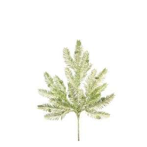  24 All That Glitters Green Bald Cypress Christmas/Holiday 