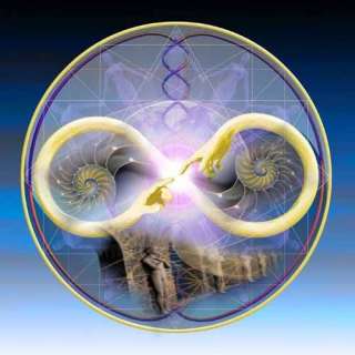 REINCARNATION~PAST LIFE REGRESSION A MUST HAVE   