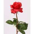 Kunstblume Rose Caroline rot natürlich anfühlend 70 cm