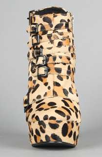 Sole Boutique The Mercer Shoe in Leopard  Karmaloop   Global 