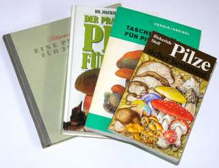 Pilze Pilzkunde Pilzbücher Taschenbuch Pilzfreunde   4 alte Bücher 