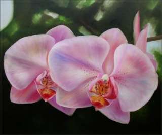 High Q. Hand Painted Oil Painting Two Lavender Orchids  