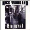 The Current That Flows Nick Woodland  Musik