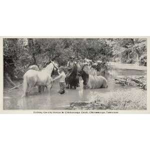  1899 Print Cavalry Horses Chickamauga Creek Soldiers TN 