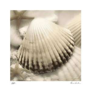  Iridescent Seashell III by Donna Geissler, 18x18