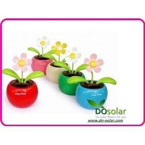   plant swing solar toy gift car accessories 20 pcs / lot Toys & Games