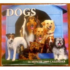  Dogs 16 Month 2009 Calendar