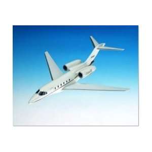    Aeroclassics PIA Pakistan DC 10 30 Model Airplane Toys & Games