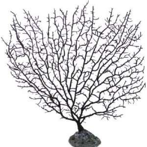 Sea Fan Aquarium Decoration Ornament   Brownish Black   Size 11 x 1 x 