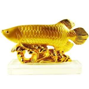  A Golden Wealth Arowana Fish (Golden Fish) for Feng Shui 