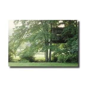  Tree House Limited Edition Print