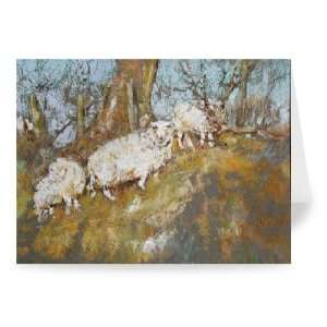 Sheep up the Bank, North Wales (pastel on   Greeting Card (Pack of 2 