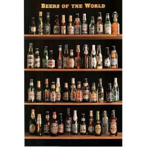  (24x36) Beers of the World Beer Bottles on Shelves Art 