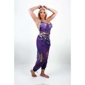 Belly Dance Costume With Harem Pants & Halter Top (Purple 