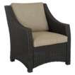 Target Home™ Belvedere Wicker Patio Club Chair   Tan
