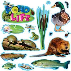  Pond Life Mini Bulletin Board Set Toys & Games