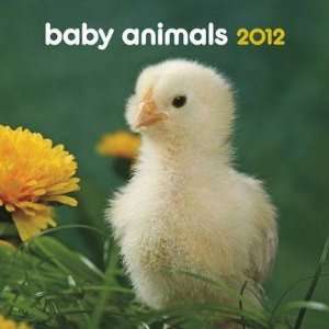  Baby Animals 2012 Small Wall Calendar
