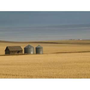  Grain Barn on Wheat Farm in Rosebud, Alberta, Canada 