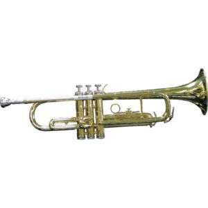 GOLD COLORED TRUMPET with HARD CASE and ACCESSORIES  