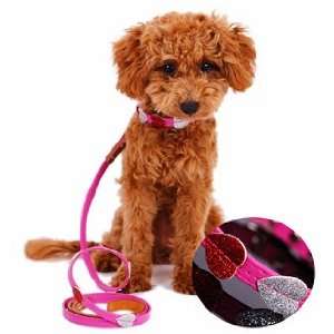   Dog Cat Collar & Leash Set   X Small/Fuchsia Pink