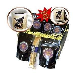 Dogs Chihuahua   Chihuahua Puppy   Coffee Gift Baskets   Coffee Gift 