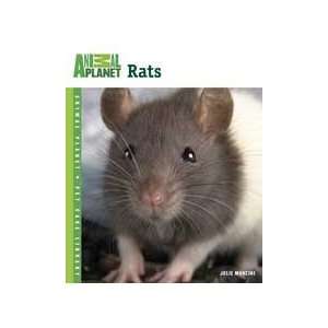  Animal Planet   Chinchillas (Catalog Category Small 