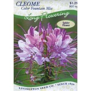  Cleome   Color Fountain Mix (Annual) Patio, Lawn & Garden