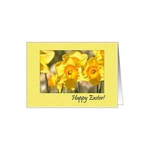  Daffodils Spring March April Flowers Easter Card Health 