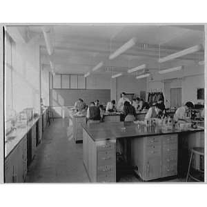  Photo John Thompson Dorrance Laboratory, M.I.T., Cambridge 