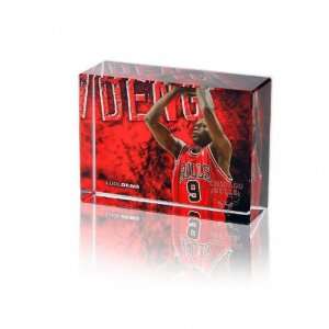  NBA Chicago Bulls Luol Deng Action Image Block Sports 